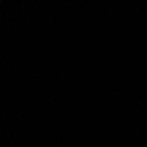 Meet your Posher, Lilly